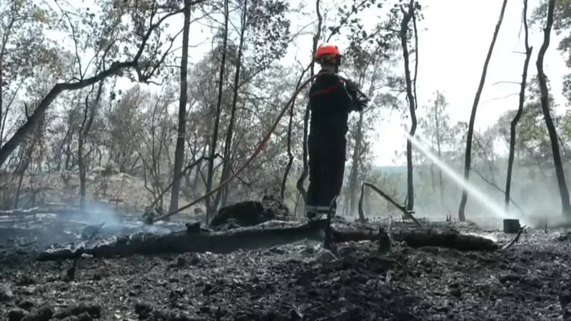 REPRISE DU FEU DANS LE VAR: DANS DEUX SECTEURS L’HYPOTHÈSE D’UN INCENDIE VOLONTAIRE EST « SÉRIEUSEMENT ENVISAGÉE »