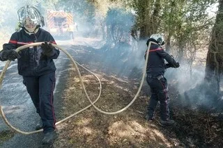 INCENDIES : SEPT DÉPARTEMENTS PLACÉS EN RISQUE TRÈS ÉLEVÉ DE FEUX DE FORÊTS POUR LA JOURNÉE DE DIMANCHE