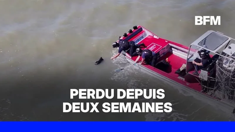 ÉTATS-UNIS: UN PETIT CHIEN RETROUVÉ VIVANT DANS LA BAIE DE SAN FRANCISCO