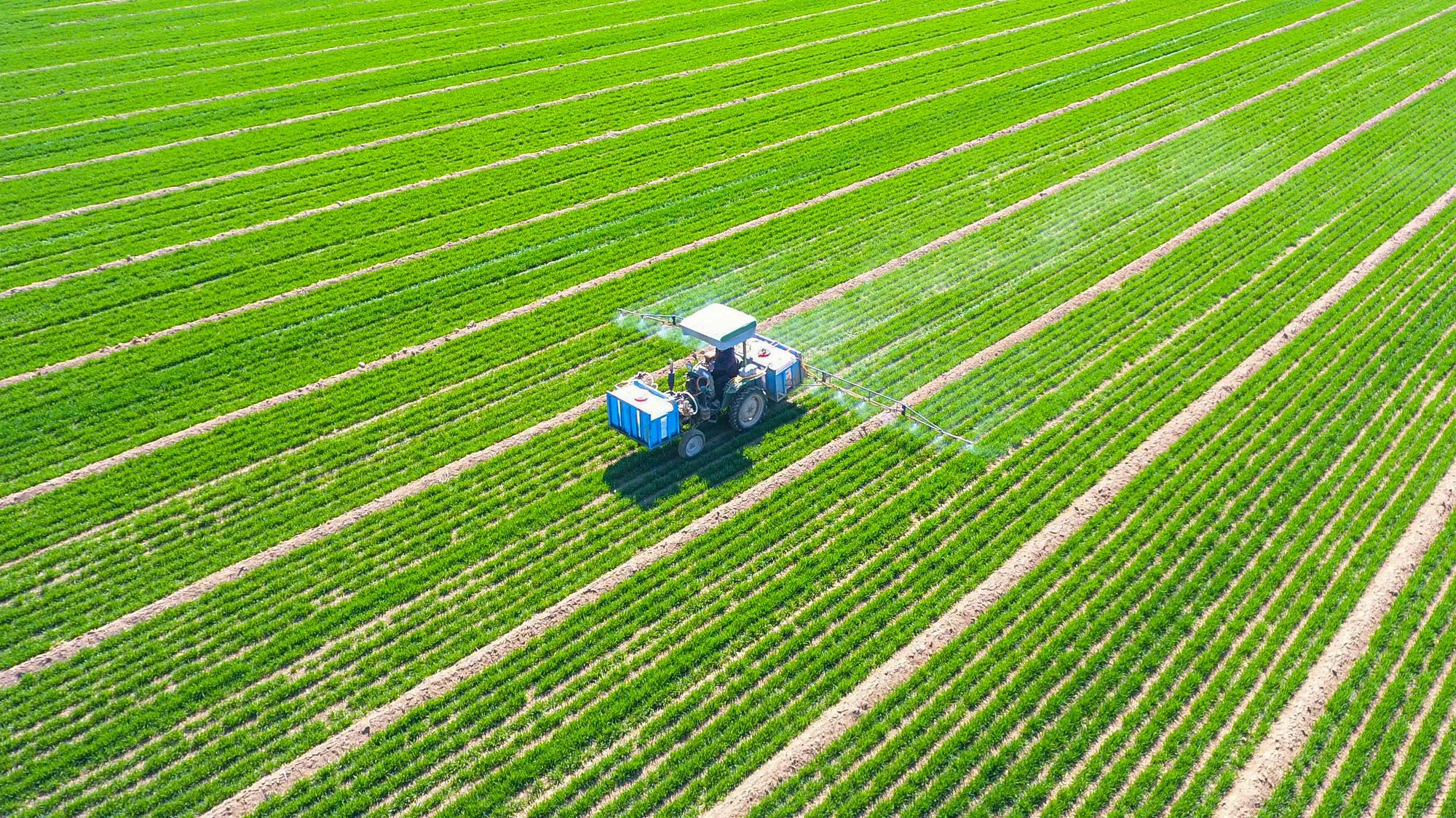 LOI D’URGENCE AGRICOLE : LE SÉNAT APPROUVE LA RÉINTRODUCTION DE DEUX PESTICIDES INTERDITS