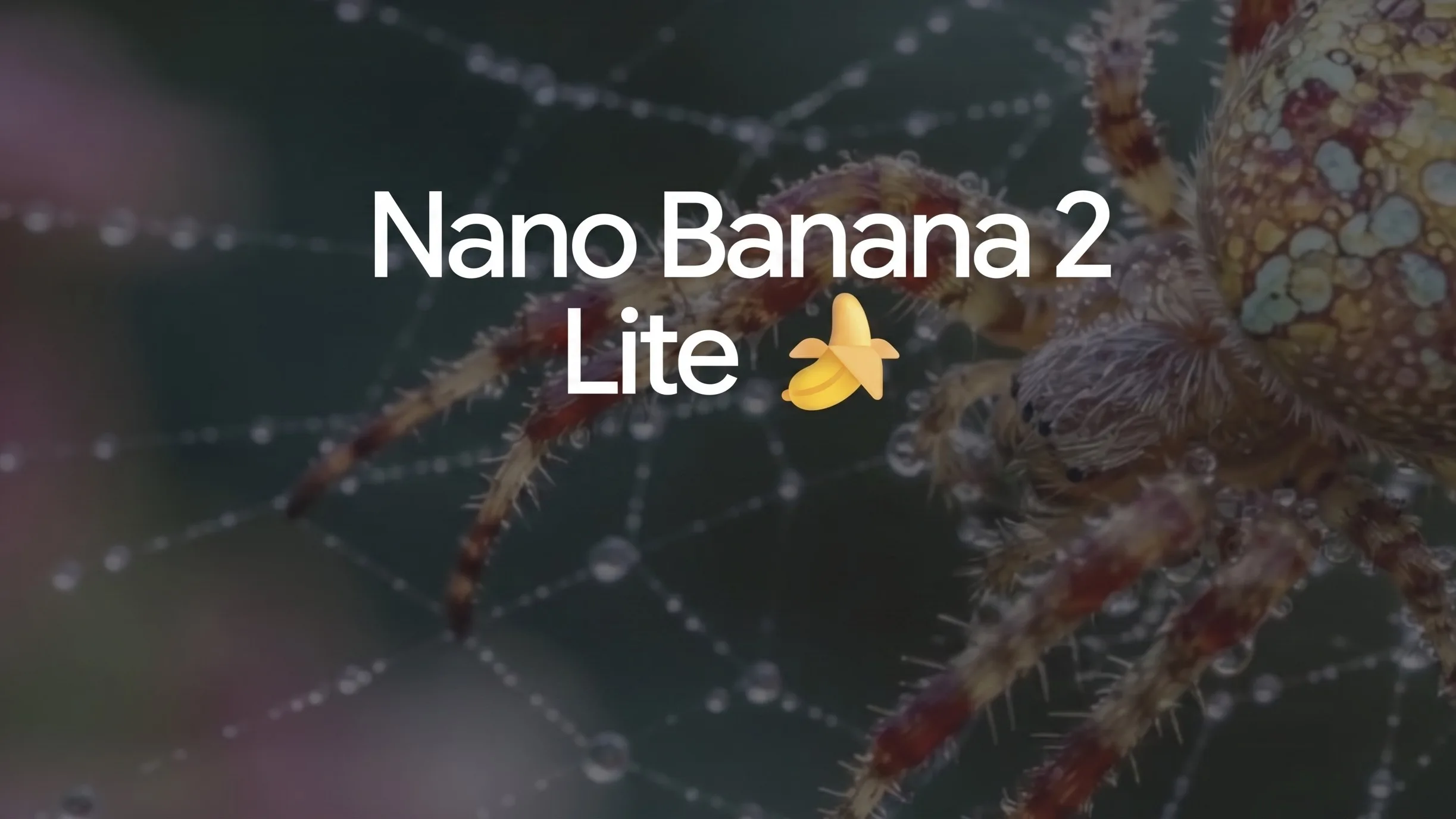 NANO BANANA 2 LITE : GOOGLE LANCE SON GÉNÉRATEUR D’IMAGES LE PLUS RAPIDE ET LE MOINS CHER