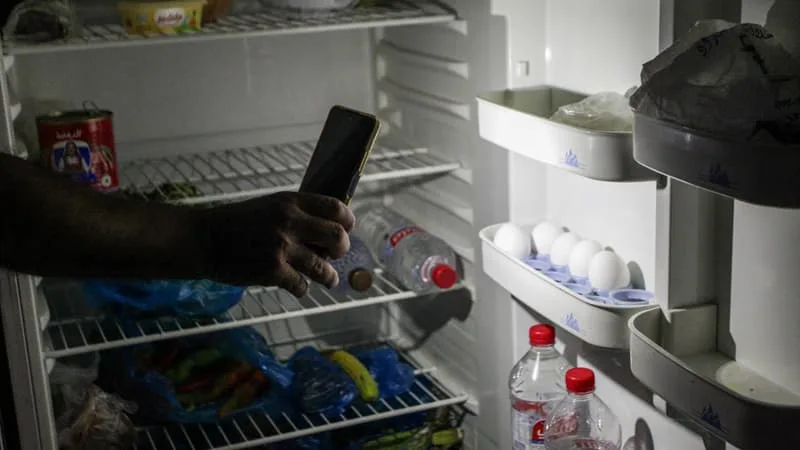DES CENTAINES DE CADAVRES DE POULETS, DES MILLIERS DE LITRES DE LAIT JETÉS ET UN PRIX DU POISSON QUI DOUBLE: EN TUNISIE, LES DÉLESTAGES A RÉPÉTITION PÉNALISENT DES FILIÈRES ENTIÈRES DE L’AGROALIMENTAIRE
