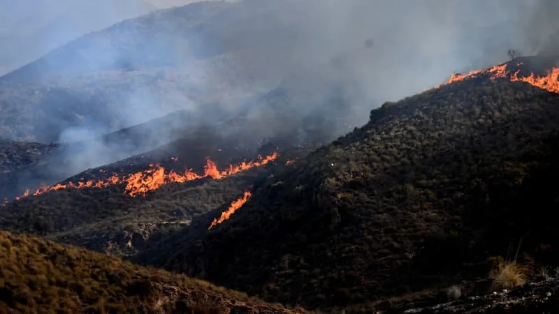 INCENDIE EN ESPAGNE: DES CENTAINES DE PERSONNES ÉVACUÉES ONT PU REGAGNER LEUR DOMICILE