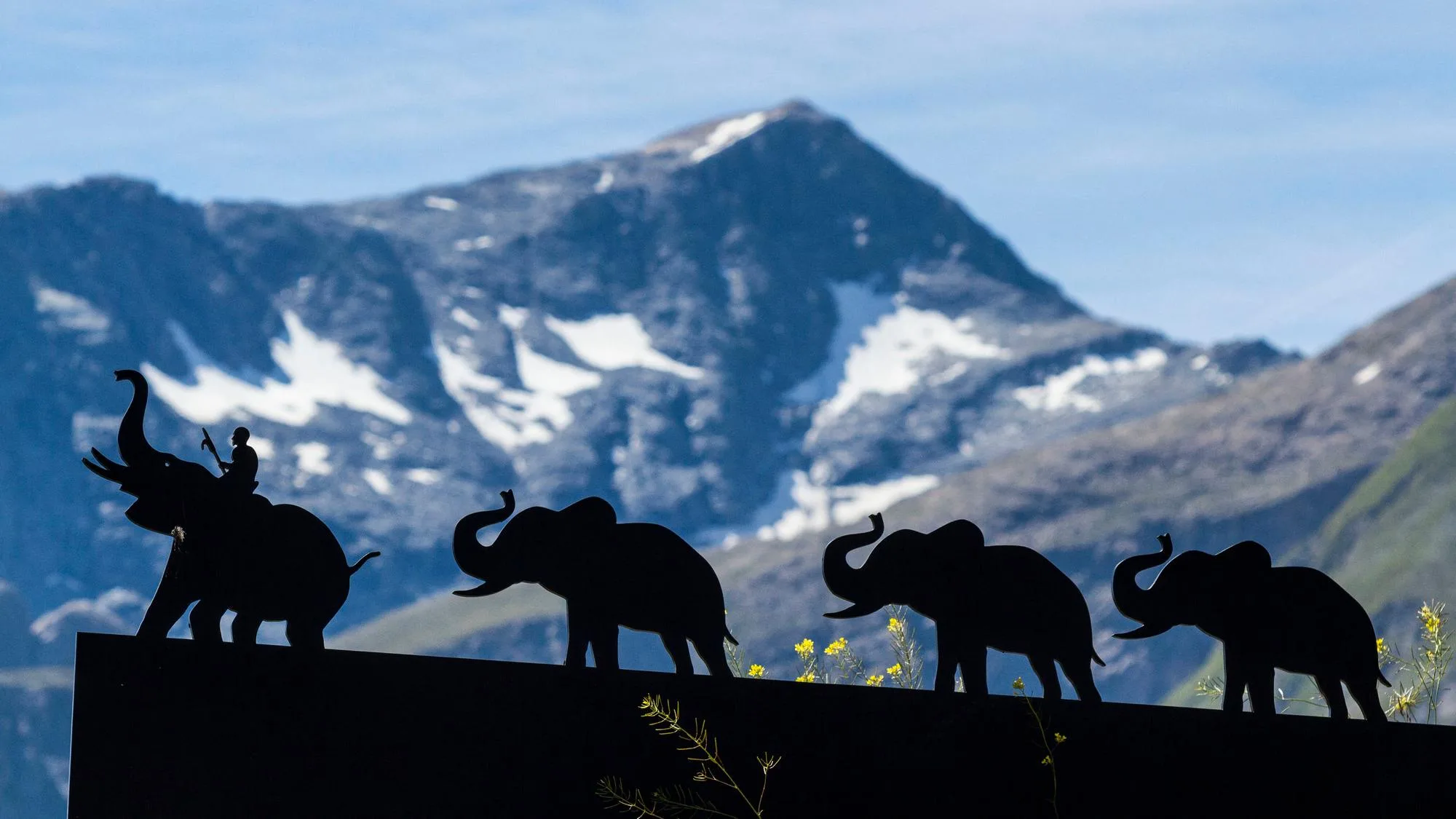 CETTE ÉTUDE PENSE SAVOIR OÙ HANNIBAL ET SES ÉLÉPHANTS ONT TRAVERSÉ LES ALPES