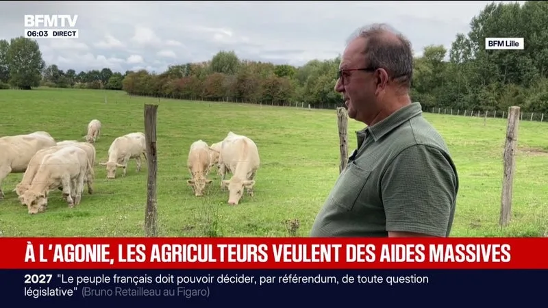 « LA PERTE FINANCIÈRE EST ÉNORME »: DE NOMBREUSES EXPLOITATIONS AGRICOLES MISES EN PÉRIL PAR LA SÉCHERESSE