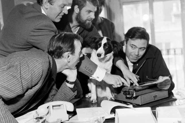 PICKLES, LE CHIEN QUI A SAUVÉ LA COUPE DU MONDE 1966