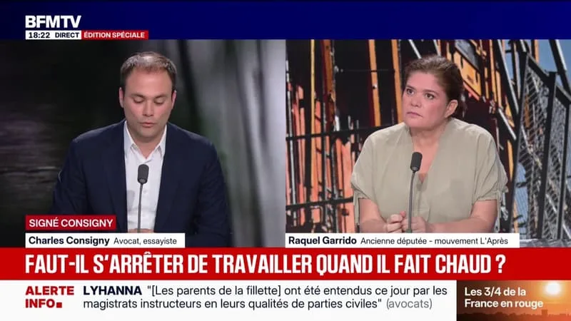 SIGNÉ CONSIGNY – CONGÉ CLIMATIQUE: « C’EST LA LUTTE PERMANENTE CONTRE LE TRAVAIL EN FRANCE », ESTIME L’AVOCAT ET ESSAYISTE CHARLES CONSIGNY