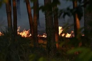 « LE FEU N’EST PAS ENCORE FIXÉ » : CE QU’IL FAUT SAVOIR DE L’INCENDIE QUI RAVAGE UNE FORÊT DU MAINE-ET-LOIRE