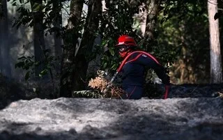 « LE FEU EST FIXÉ » : L’INCENDIE QUI A RAVAGÉ 55 HECTARES D’UNE FORÊT DU MAINE-ET-LOIRE EST SOUS CONTRÔLE