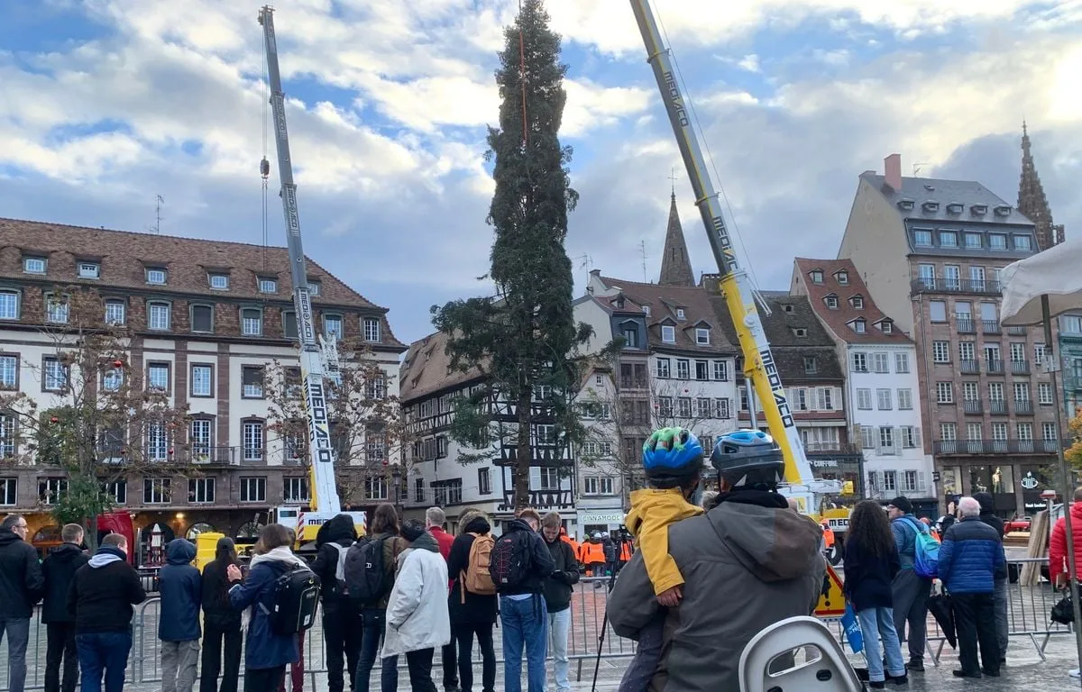 QUE LES FÊTES COMMENCENT… LE GRAND SAPIN DE NOËL EST ARRIVÉ À STRASBOURG