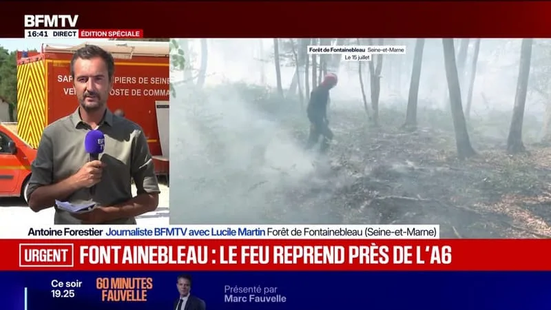 INCENDIES À FONTAINEBLEAU: UNE REPRISE DE FEU PRÈS DE L’A6