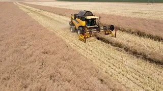 ADOLESCENTE TUÉE DANS UN ACCIDENT AVEC UNE MOISSONNEUSE EN VENDÉE : L’AGRICULTEUR JUGÉ POUR HOMICIDE INVOLONTAIRE