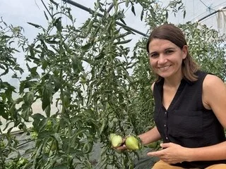 TOMATES SOUS SERRE, EN PLEINE TERRE OU EN POT : RÉUSSISSEZ VOS CULTURES GRÂCE AUX CONSEILS DE MARION