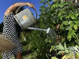 LE MAINE-ET-LOIRE EN ALERTE SÉCHERESSE RENFORCÉE : QUELS SONT LES USAGES DE L’EAU DÉSORMAIS INTERDITS ?