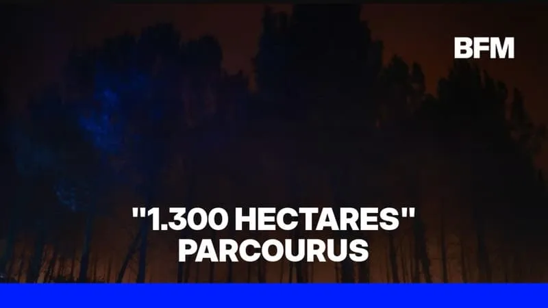 L’INCENDIE DANS LES LANDES A PARCOURU 1.300 HECTARES, SON « INTENSITÉ EST TOUJOURS FORTE MAIS DIMINUE »
