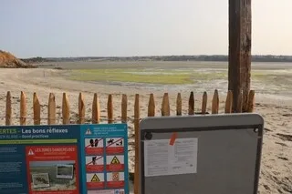 EN BRETAGNE, UNE PLAGE POLLUÉE AUX ALGUES VERTES ET SON AIRE DE PIQUE-NIQUE FERMÉES TROIS JOURS « PAR PRÉCAUTION »
