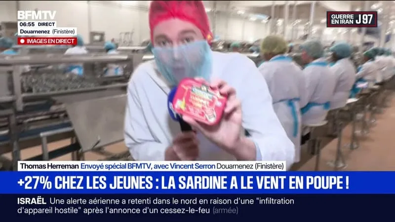 LA SARDINE A LE VENT EN POUPE AVEC UNE AUGMENTATION DE 27% CHEZ LES JEUNES DE 25-35 ANS