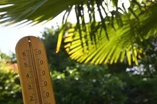 INFOGRAPHIES. ALORS QU’UNE NOUVELLE VAGUE DE CHALEUR ARRIVE, DÉCOUVREZ SI VOTRE VILLE EST DÉJÀ EN SURCHAUFFE