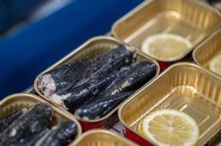 LONGTEMPS JUGÉES RINGARDES, POURQUOI LES SARDINES EN BOÎTE FONT-ELLES UN RETOUR EN FORCE SUR LES RÉSEAUX SOCIAUX ?