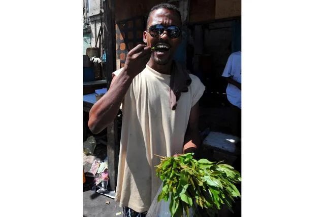 “LE KHAT, C’EST GÉNIAL !” : SUR LA ROUTE À DJIBOUTI, TOUT UN PAYS HÉBÉTÉ