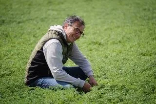 « D’UNE DIZAINE D’AGRICULTEURS À 100 AUJOURD’HUI » : COMMENT LE POIS CHICHE DE VENDÉE S’IMPOSE AU PAYS DE LA MOGETTE