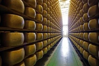 EN ITALIE, LA BANQUE DES MEULES DE PARMESAN MISE À MAL PAR LES VAGUES DE CHALEUR À RÉPÉTITION