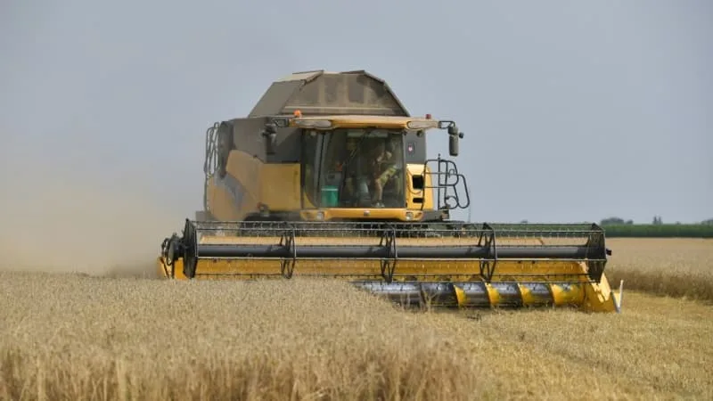 LA TONNE DE BLÉ EST AU PLUS HAUT DEPUIS UN AN: EN PLUS DES CANICULES ET DU BLOCAGE D’ORMUZ, LE COURS DES CÉRÉALES FLAMBENT PARCE QUE LES RUSSES N’OSENT PLUS TRAVERSER LE DÉTROIT DE KERTCH