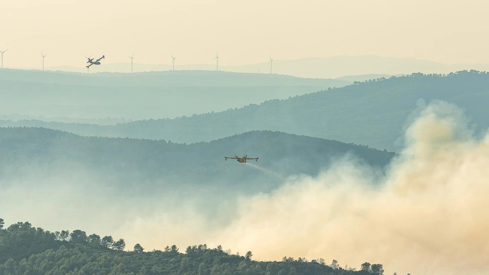 DANS LE VAR, DES ÉVACUATIONS DANS PLUSIEURS COMMUNES FACE À LA REPRISE DE L’INCENDIE ATTISÉ PAR LE VENT