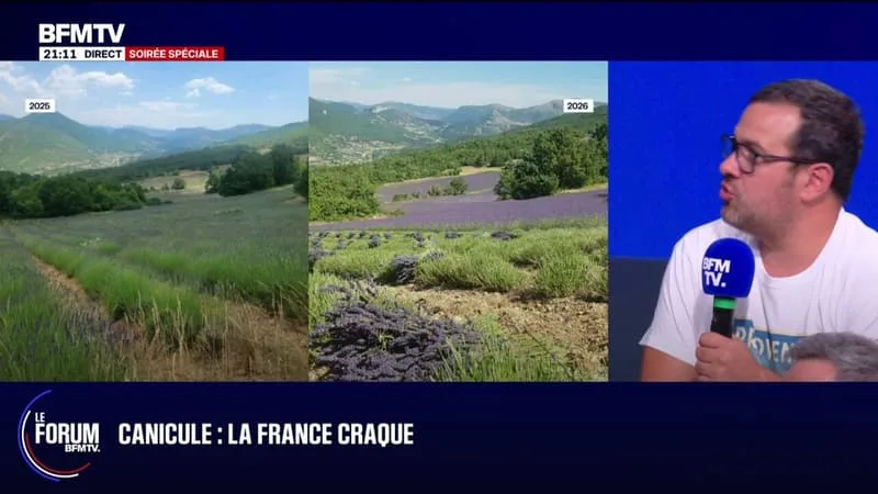 FORUM BFMTV – THÉO, AGRICULTEUR PRODUCTEUR DE LAVANDE: « C’EST UNE ANNÉE AU NIVEAU AGRICOLE QUI N’EST PAS BELLE DU TOUT »
