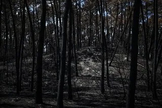 INCENDIE EN GIRONDE : LA PRÉFECTURE DÉBLOQUE 300 000 € D’AIDE D’URGENCE