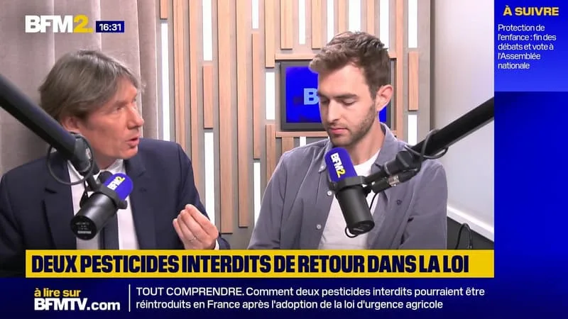 LOI AGRICOLE: COMMENT DEUX PESTICIDES INTERDITS VONT ÊTRE RÉINTRODUITS