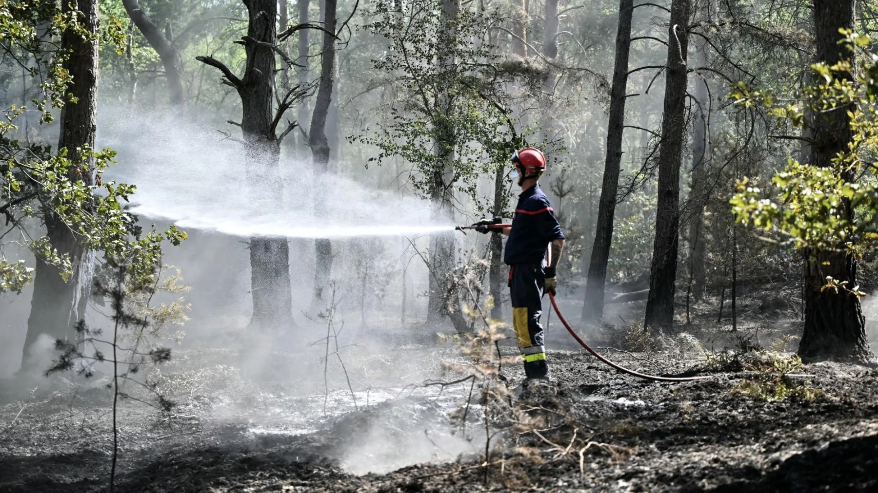FONTAINEBLEAU : QU’EST-CE QUE LES « FEUX ZOMBIES » QUE LES POMPIERS CRAIGNENT ENCORE ?