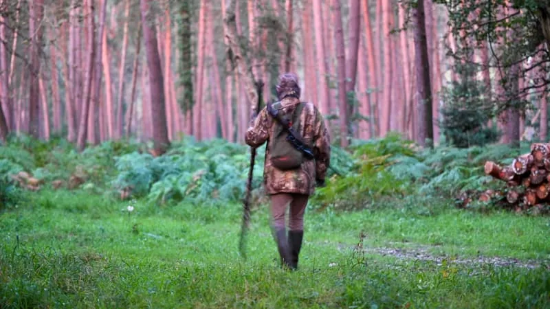 SÉCHERESSE, INCENDIE… LES ASSOCIATIONS VEULENT REPORTER L’OUVERTURE DE LA CHASSE « POUR LAISSER LE TEMPS À LA NATURE DE SE REMETTRE »