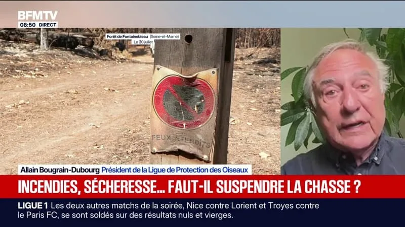 SÉCHERESSE: « ON ASSISTE À UNE SITUATION COMPLÈTEMENT INÉDITE ET DRAMATIQUE POUR LE GIBIER D’EAU », EXPLIQUE LE PRÉSIDENT DE LA LIGUE DE PROTECTION DES OISEAUX