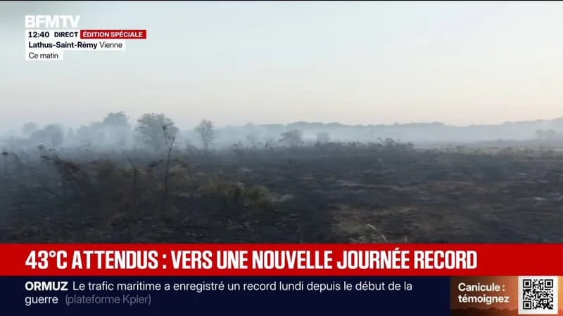 43°C ATTENDUS: LA FRANCE SUFFOQUE, PRISONNIÈRE D’UN ÉPISODE CANICULAIRE « ÉTENDU, DURABLE ET INTENSE »