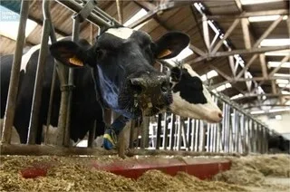 LA FERME DE SOURCHES LANCE UNE PLATEFORME D’INNOVATION AGRICOLE