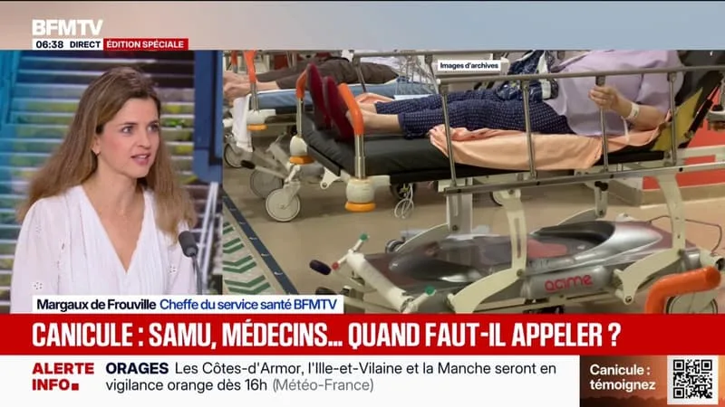 CANICULE: QUAND FAUT-IL APPELER UN MÉDECIN OU LE SAMU?