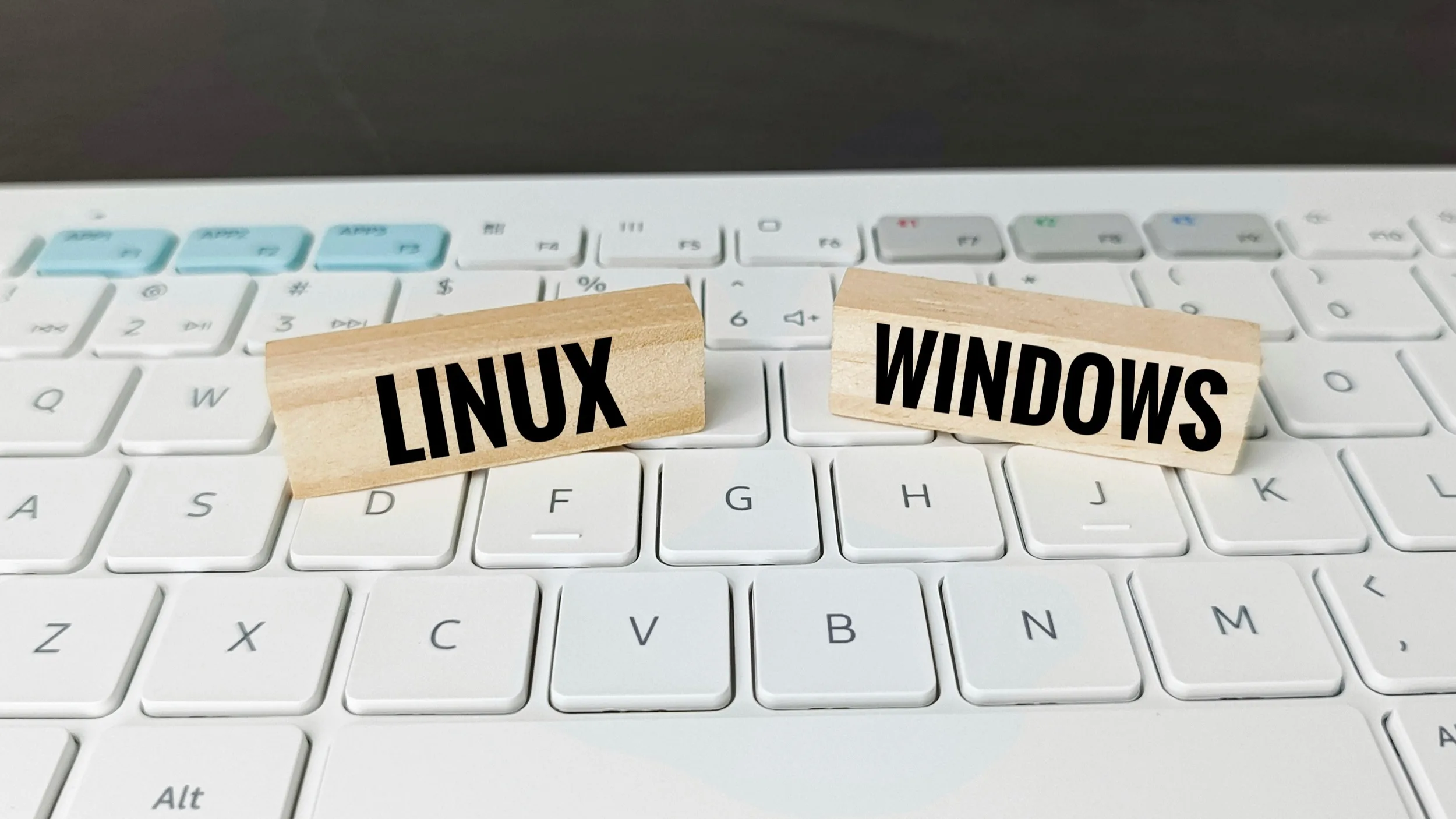 WINDOWS 11 SE RAPPROCHE ENCORE DE LINUX POUR SÉDUIRE LES DÉVELOPPEURS
