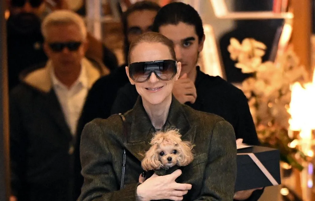 LES CONCERTS DE CÉLINE DION AURAIENT RAPPORTÉ LA BAGATELLE DE 125 MILLIONS DE DOLLARS EN RECETTES DE BILLETTERIE
