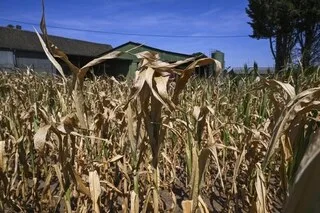 IL N’A PLU QUE 0,2 MM EN AOÛT 2026 AU MANS : LA SÉCHERESSE EST-ELLE PLUS INTENSE QU’EN 1976 ?
