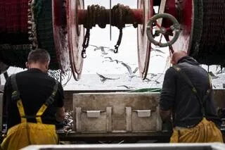 EXCLUSIF. COMMENT LES FRANÇAIS VOIENT LES PÊCHEURS : DÉCOUVREZ LES RÉSULTATS DE NOTRE SONDAGE