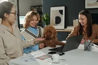 APPEL À TÉMOIGNAGES. VOTRE ENTREPRISE ACCEPTE LES ANIMAUX AU TRAVAIL ? RACONTEZ-NOUS LES AVANTAGES ET LES INCONVÉNIENTS