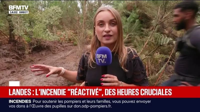 LES AUTORITÉS PARTICULIÈREMENT ATTENTIVES AUX REPRISES DE FEU DANS LES LANDES