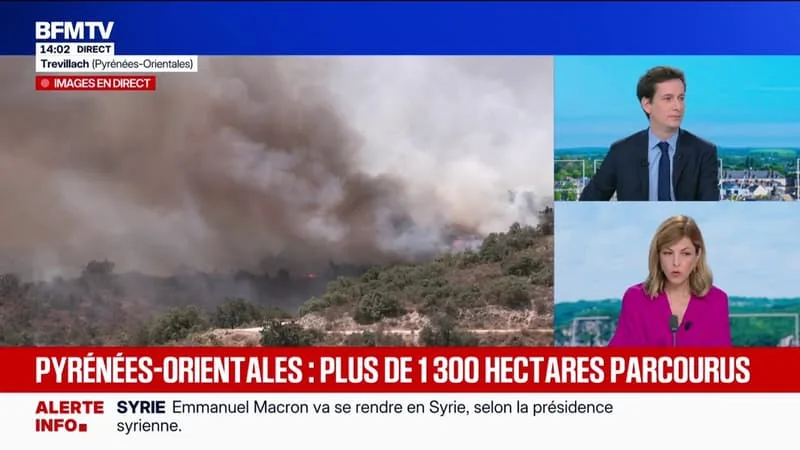 « LA SÉCHERESSE SE RENFORCE UN PEU PLUS CHAQUE JOUR » SUR LES DÉPARTEMENTS EN « RISQUE TRÈS ÉLEVÉ » DE FEUX DE FORÊT, EXPLIQUE ELÉONORE BOCCARA, JOURNALISTE MÉTÉO CLIMAT BFMTV