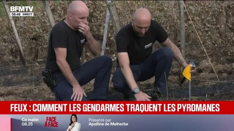 INCENDIES: COMMENT LES GENDARMES TRAQUENT LES PYROMANES