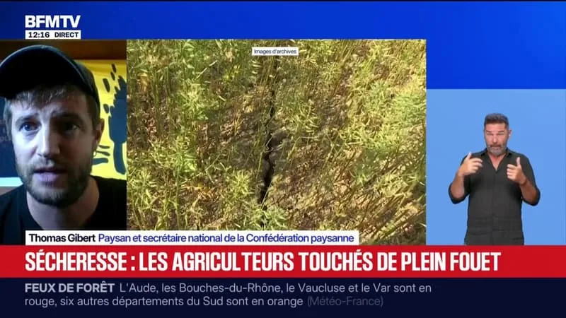 SÉCHERESSE: « LA SITUATION EST CATASTROPHIQUE AU NIVEAU DU MONDE AGRICOLE », ASSURE THOMAS GIBERT, SECRÉTAIRE NATIONAL DE LA CONFÉDÉRATION PAYSANNE