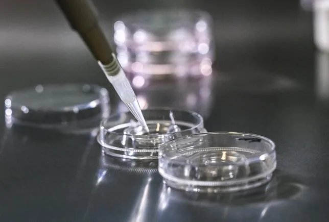 AU PORTUGAL, UNE CLINIQUE DE FERTILITÉ FAIT FAILLITE ET LAISSE DES RÊVES D’ENFANT EN SUSPENS