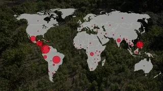 INFOGRAPHIES. DÉFENSEURS DE L’ENVIRONNEMENT : 2 375 TUÉS DANS LE MONDE EN TREIZE ANS, LA COLOMBIE EN PREMIÈRE LIGNE