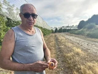 « SI ÇA CONTINUE, J’ARRÊTE » : CANICULE, PUCERONS… CET ARBORICULTEUR DES DEUX-SÈVRES EST DÉMUNI APRÈS DEUX ANNÉES NOIRES