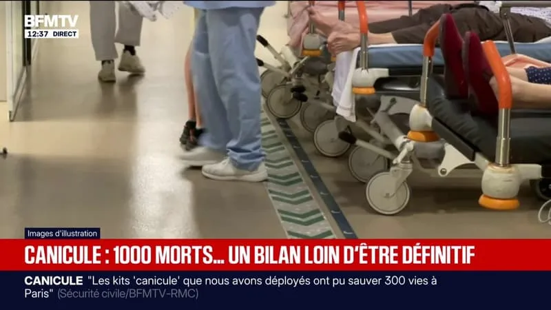 NOYADES, SURMORTALITÉ… LE LOURD BILAN DE L’ÉPISODE DE CANICULE EN FRANCE